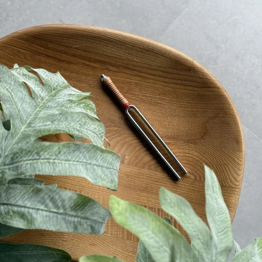 Tuning Fork 1: Root Chakra