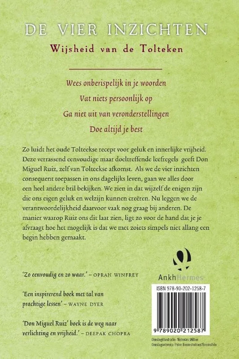 De vier inzichten - Don Miguel Ruiz - Image 2