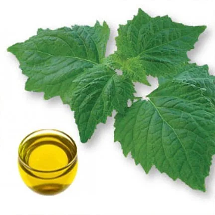 De Groene Linde - Patchouli (Enkelvoudige) Etherische Olie 10ml - Image 2