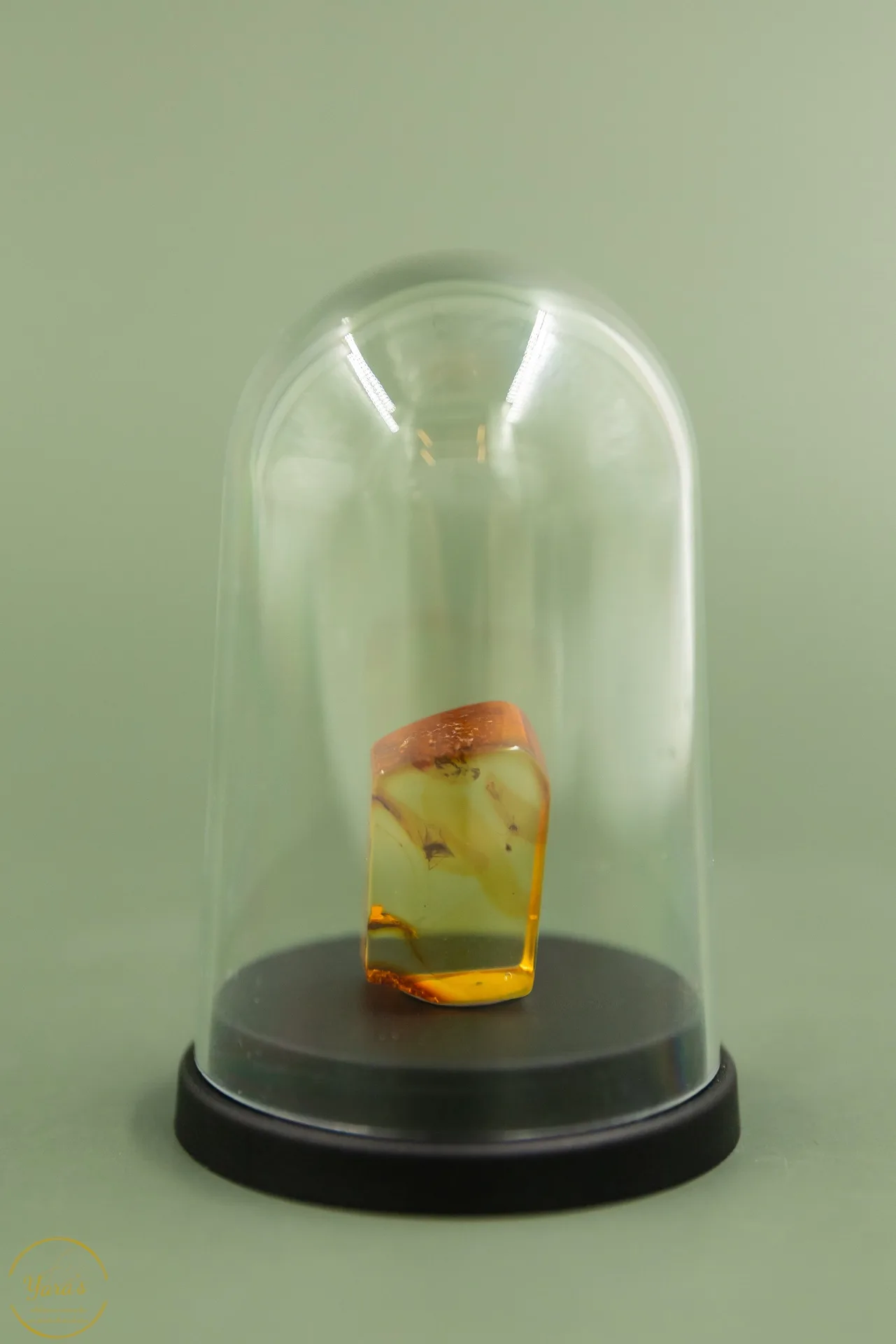 Barnsteen met insect (44 miljoen jaar oud) - 2.7gram - Image 3