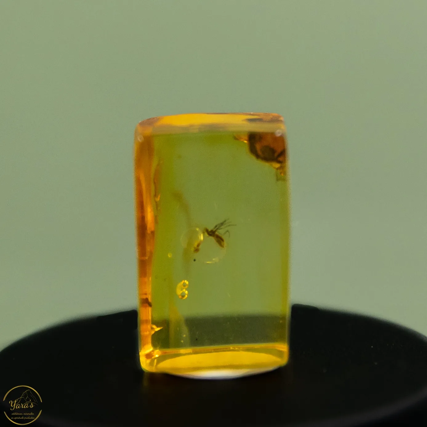 Barnsteen met insect (44 miljoen jaar oud) - 2.4 gram