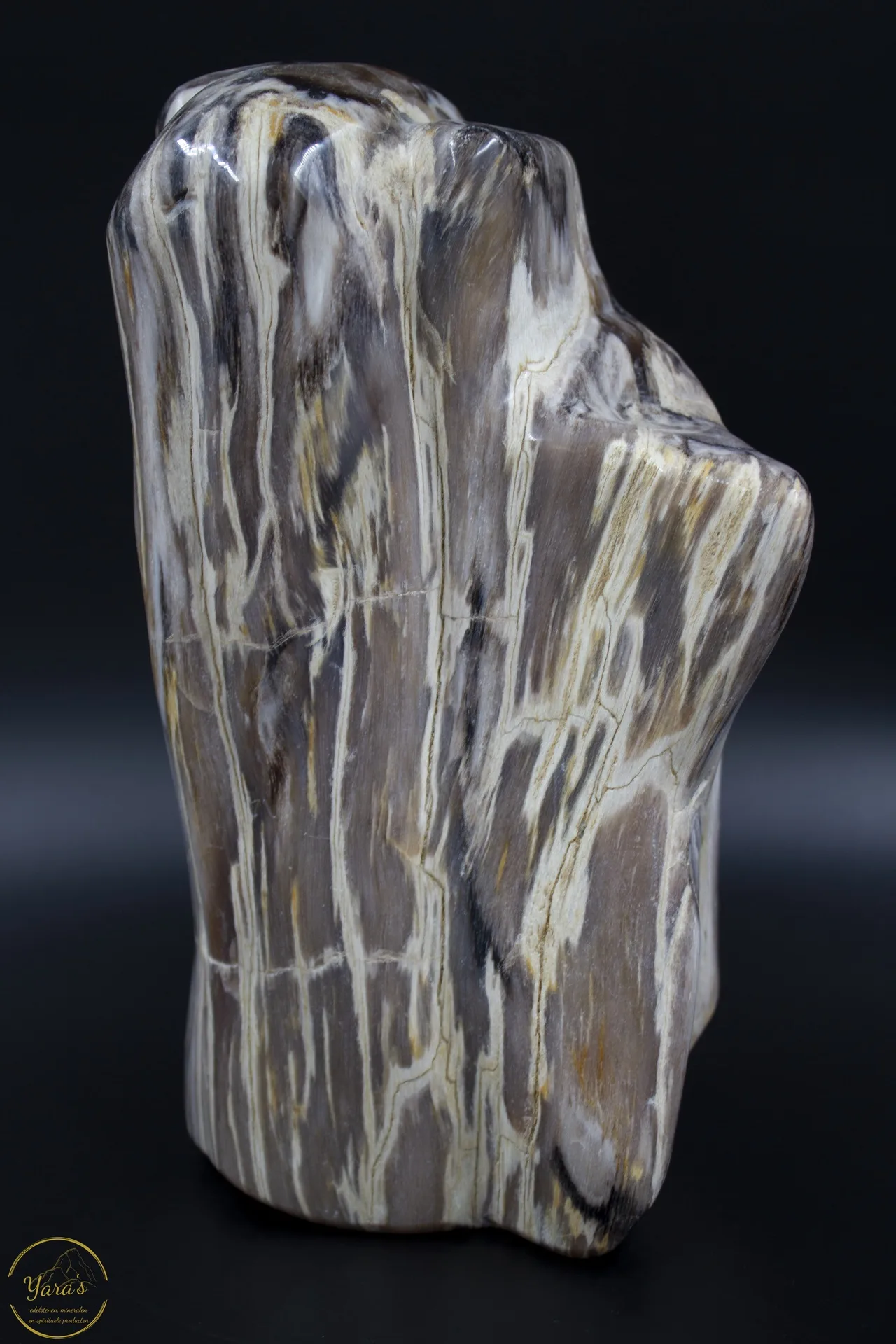 Versteend Hout Sculptuur 5.672kg
