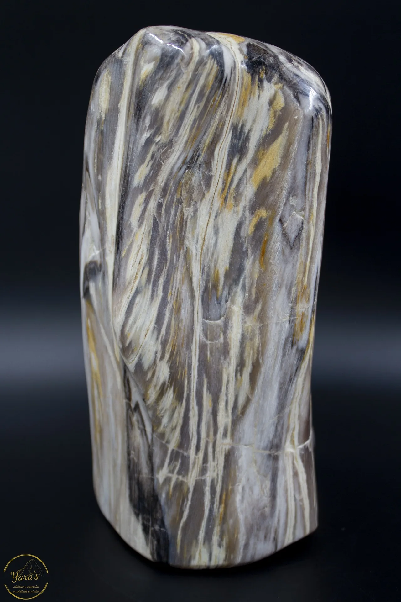 Versteend Hout Sculptuur 5.672kg - Afbeelding 5