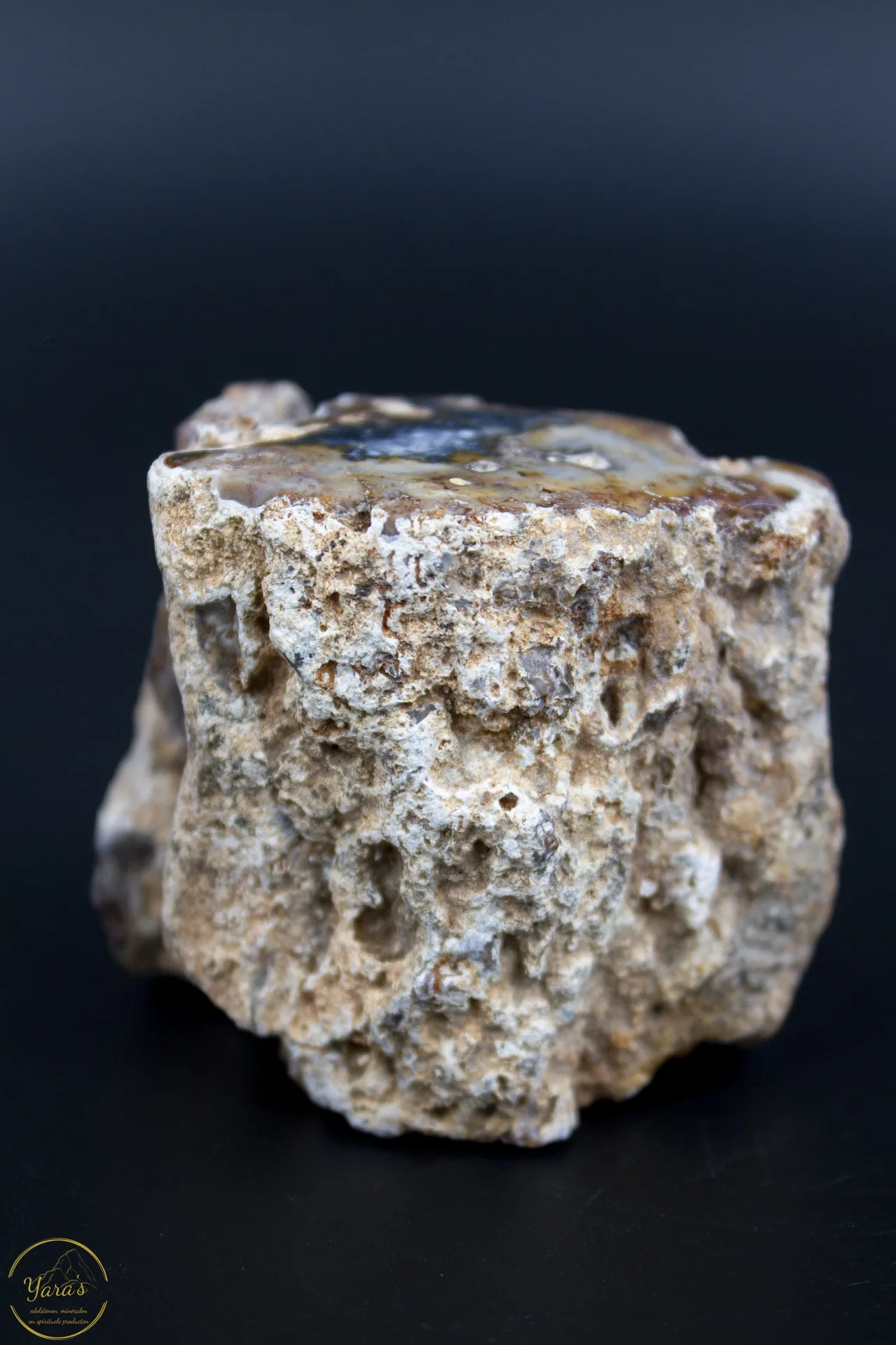 Versteend Hout Stronkje 134 gram - Afbeelding 3