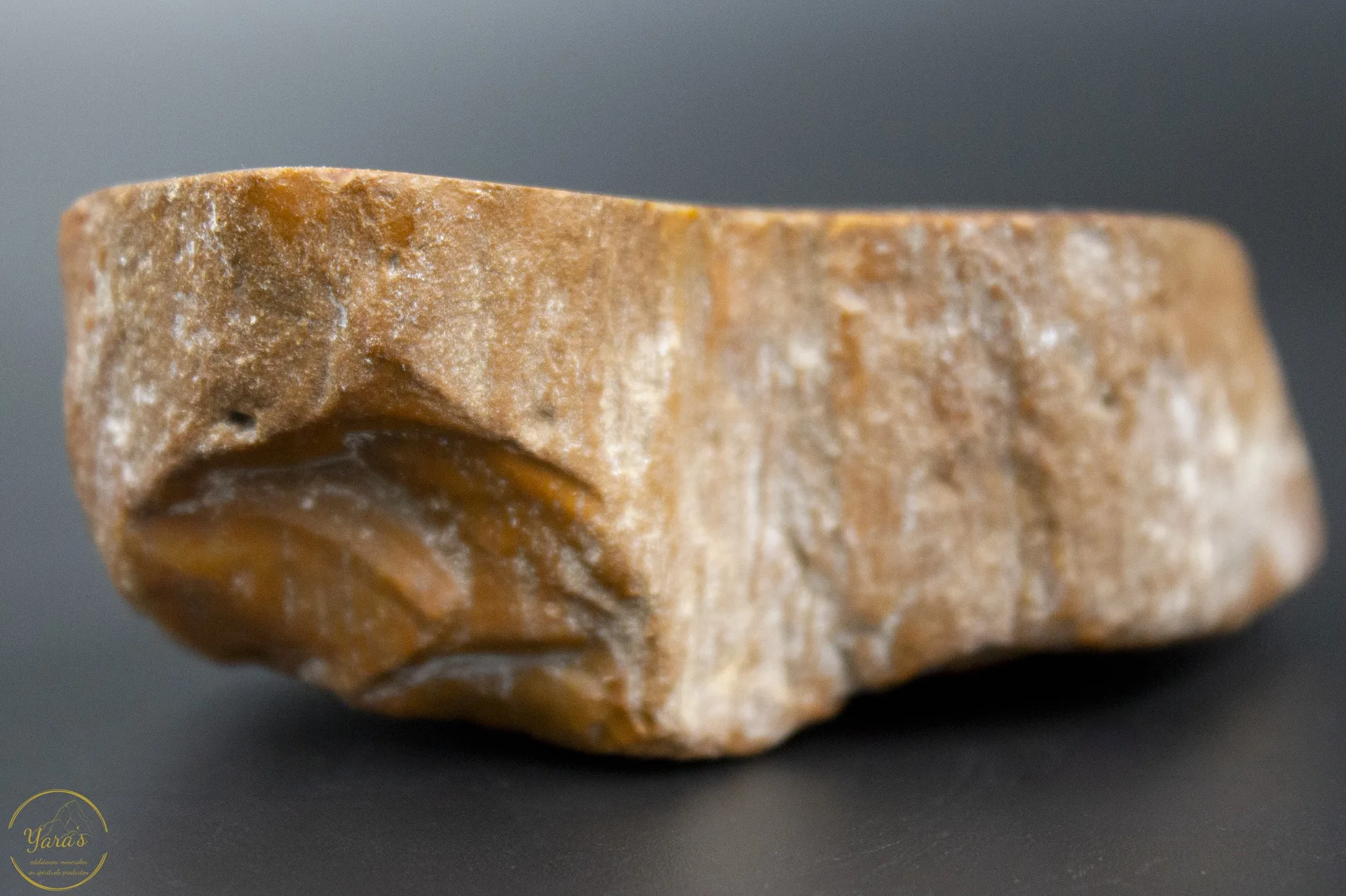 Versteend Hout Stronkje 114 gram - Afbeelding 3
