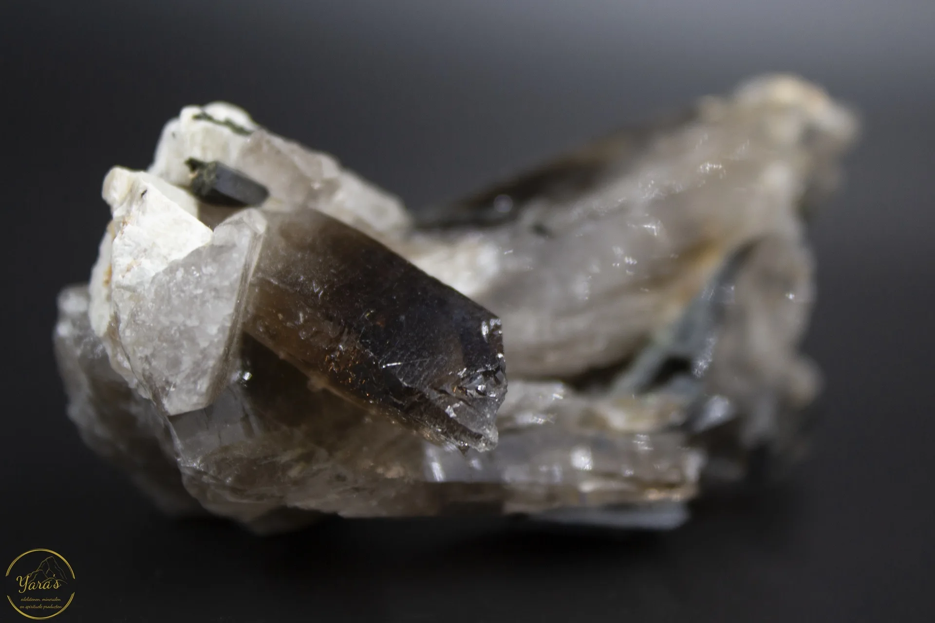Rookkwarts. Microklien en Aegirien - Zomba Malosa mix - 105gram A+ - Afbeelding 3