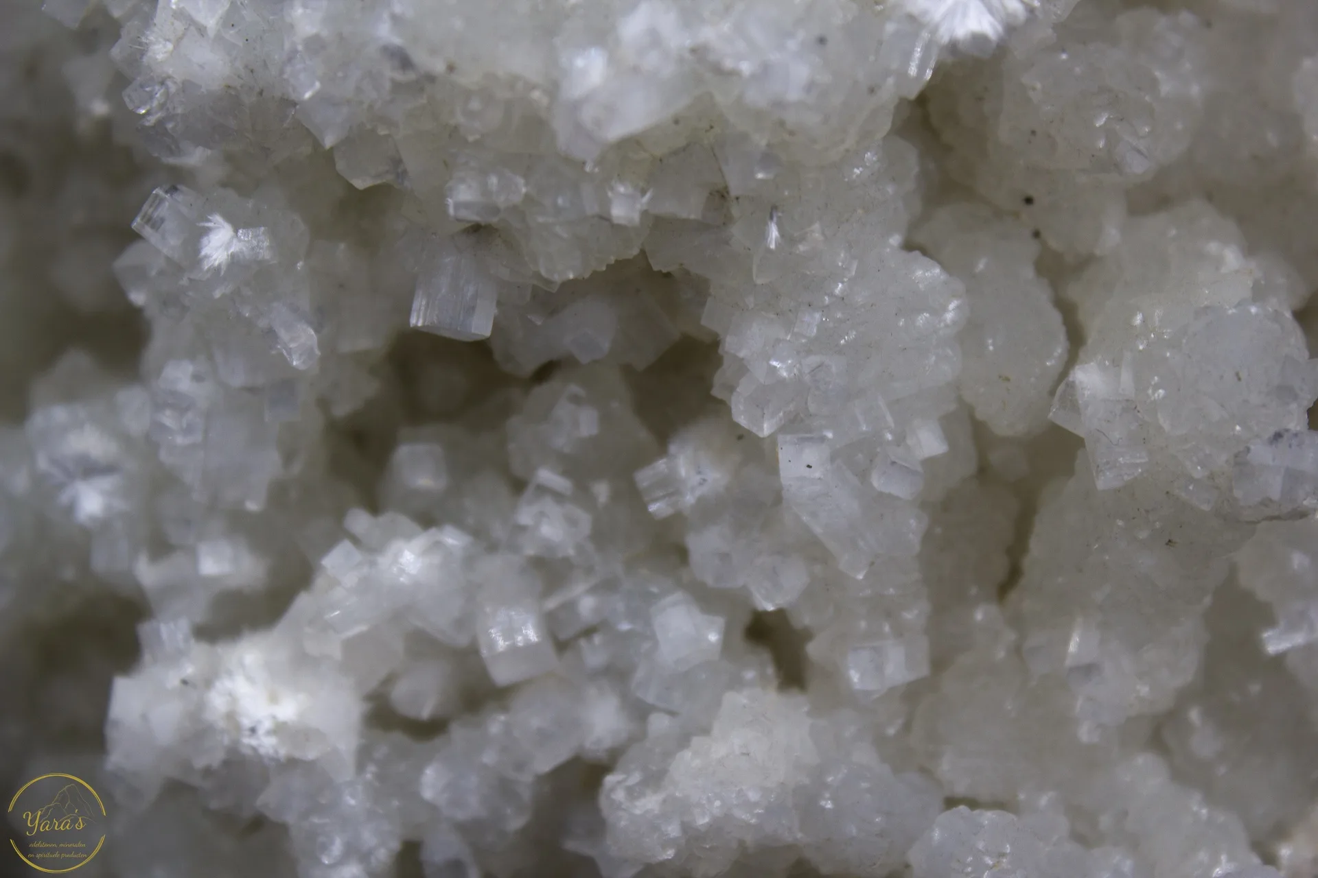 Apofyliet India - 1.103kg - Afbeelding 2