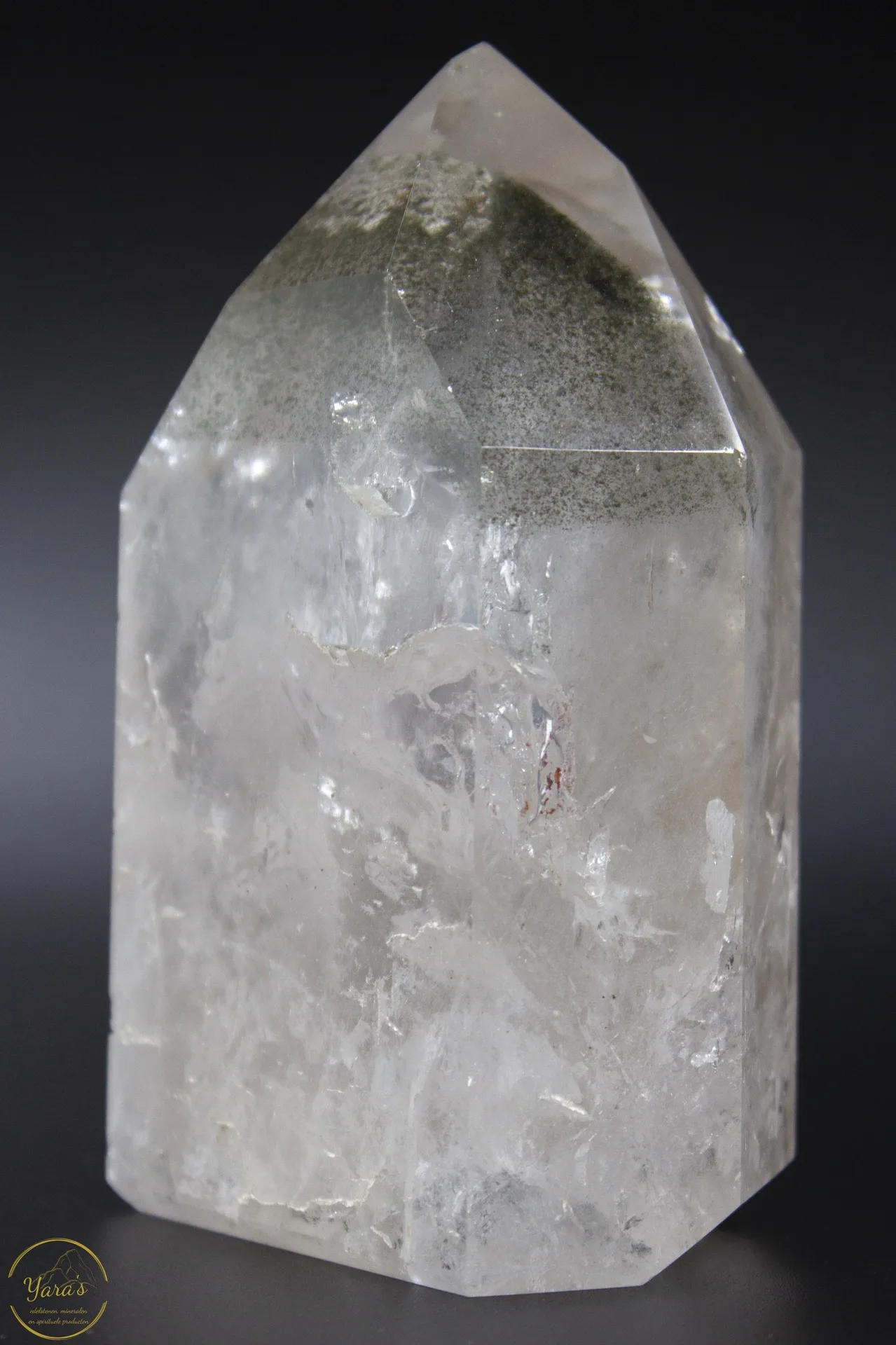 Bergkristal met Lodoliet - 466 gram