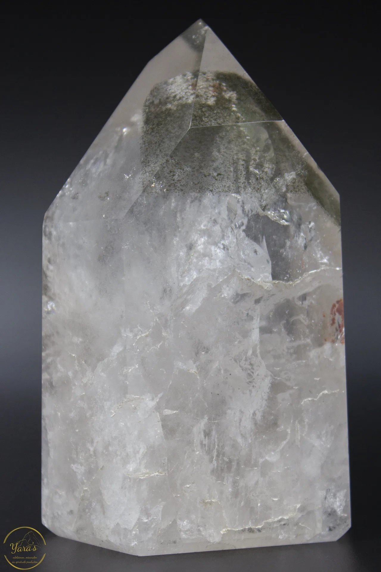 Bergkristal met Lodoliet - 466 gram - Image 4