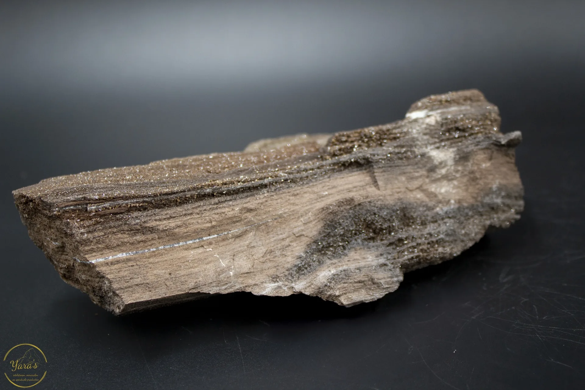 Versteend hout met kristallen -470 gram - Image 2