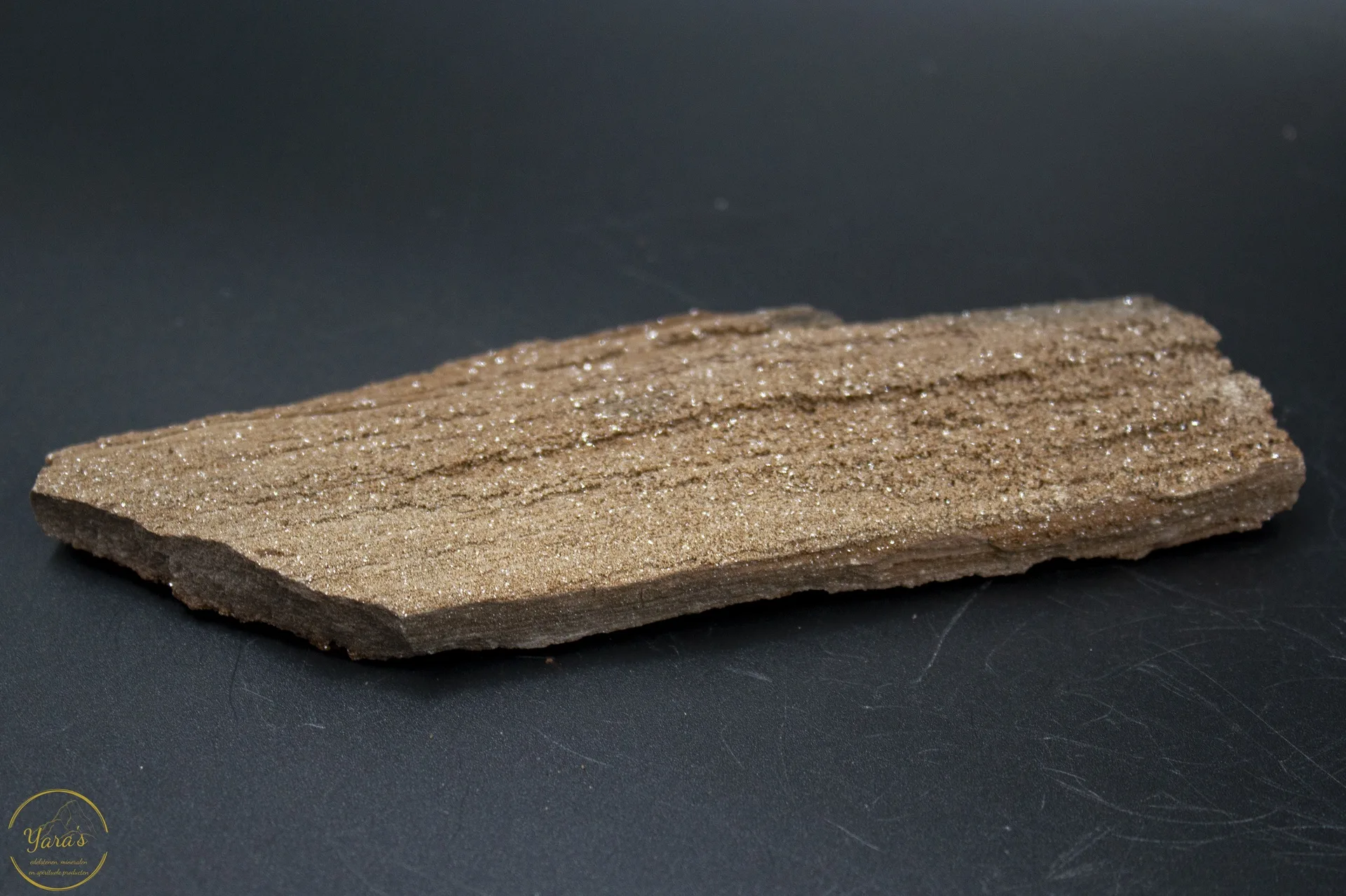Versteend hout met kristallen -114 gram - Afbeelding 4