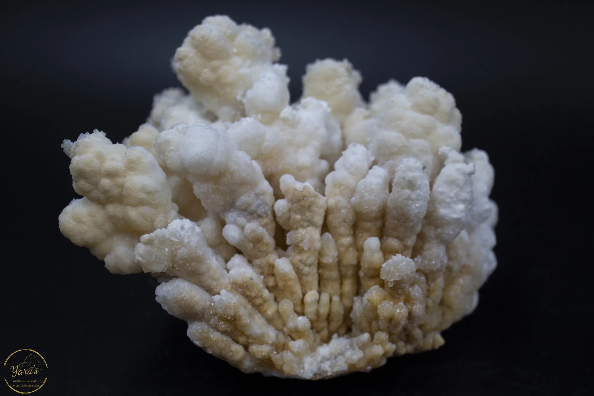 Witte aragoniet - 690 gram - Afbeelding 3