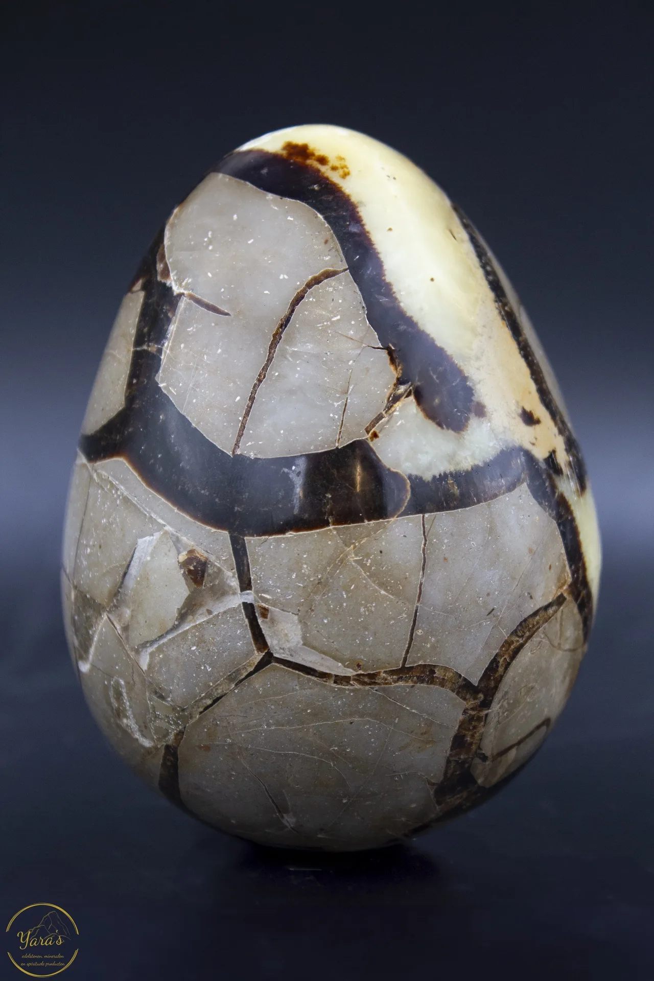 Septarie ei -1.149kg - Afbeelding 3