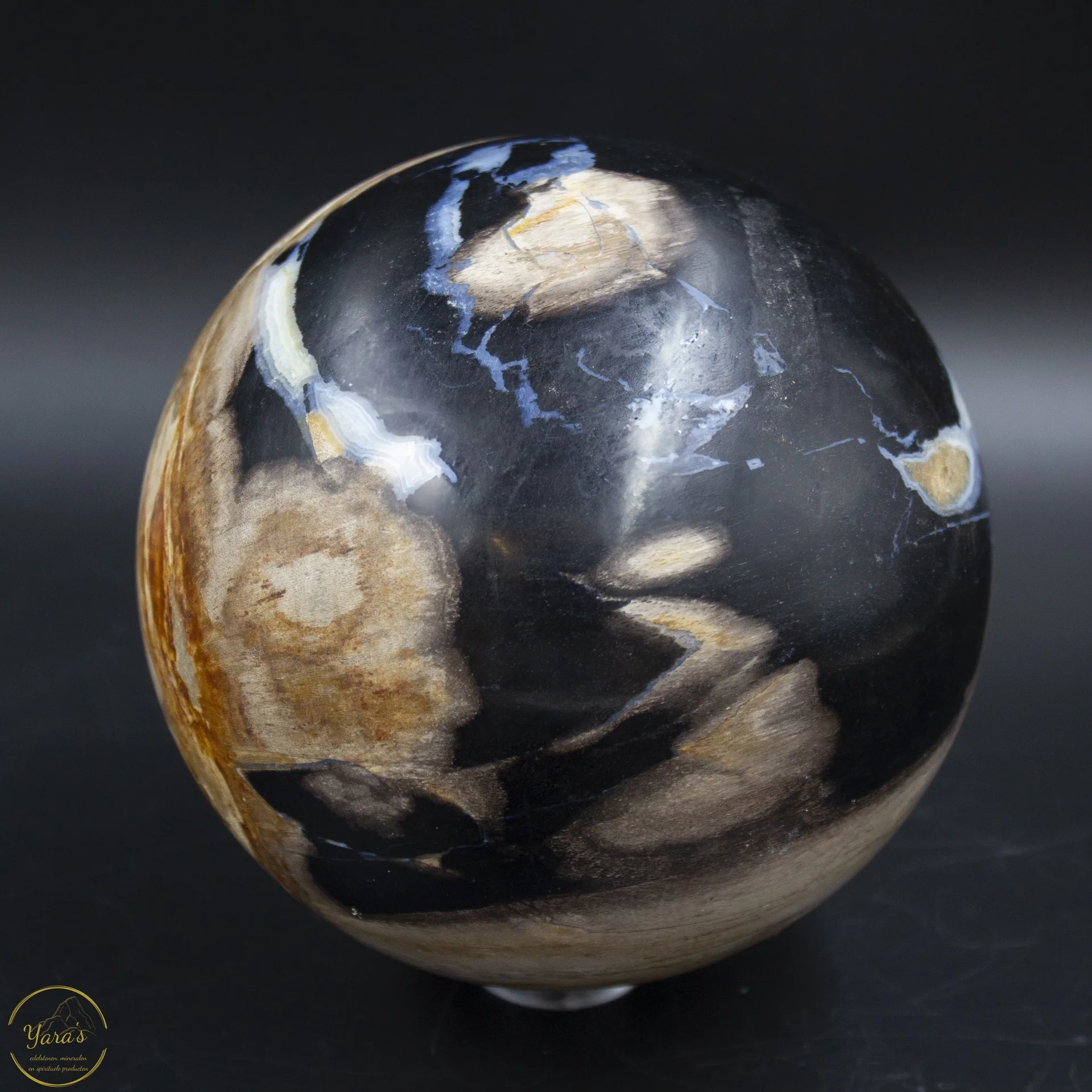 Versteend hout bol 15cm 3.8kg - Image 2