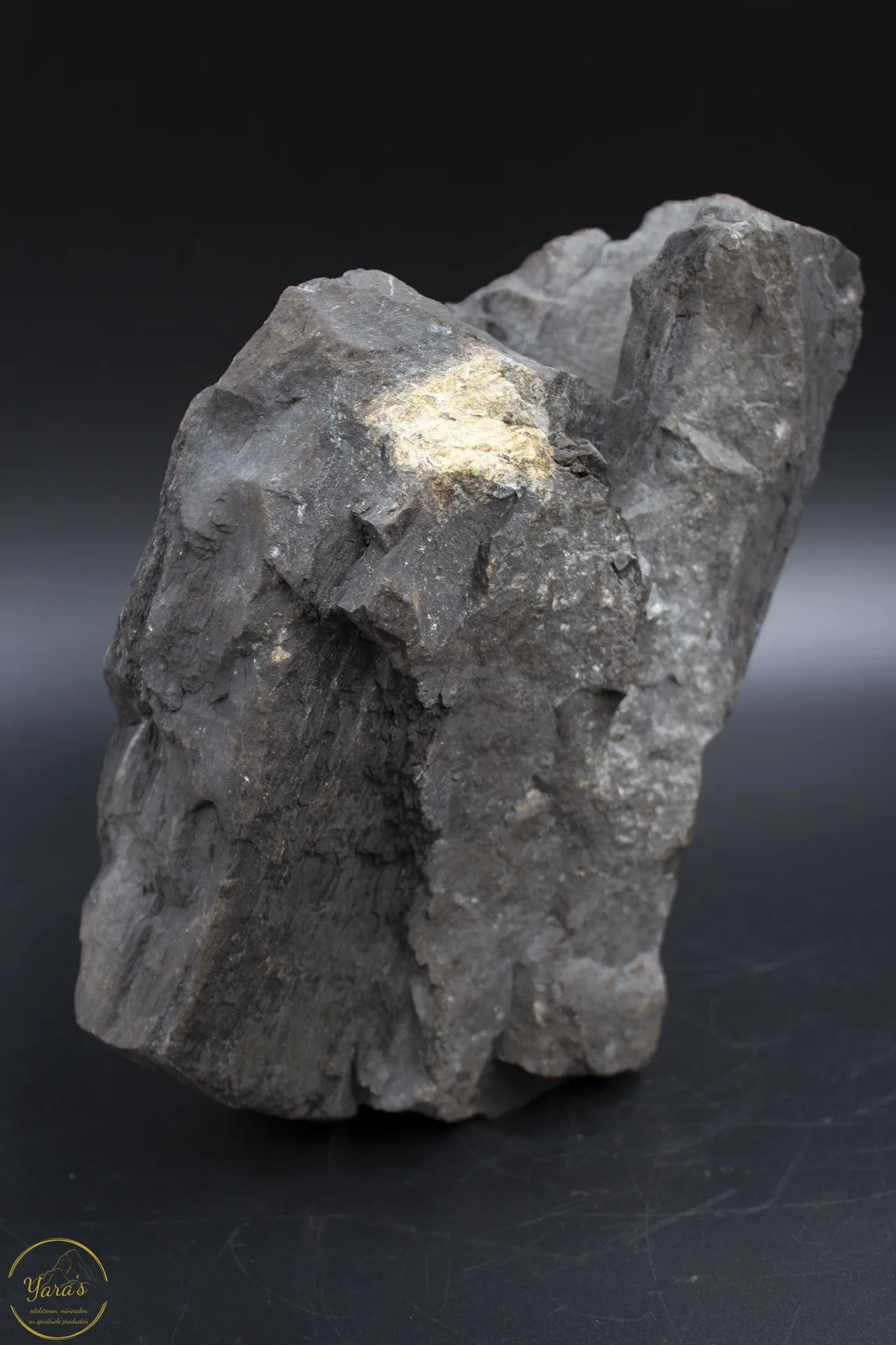 Versteend hout druzy 2.95kg - Afbeelding 4