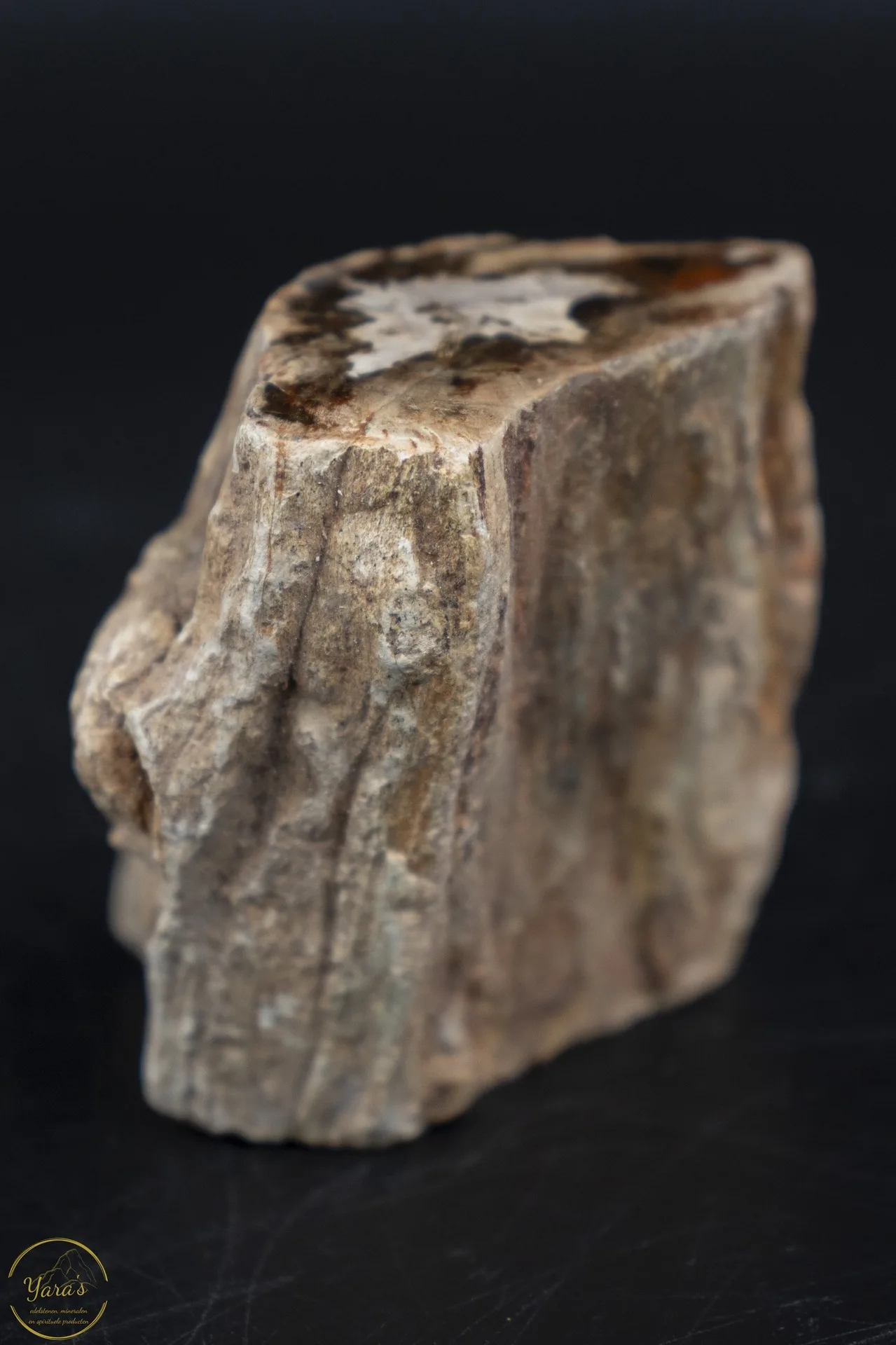 Versteend hout stammetje uit Madagascar - 120 gram - Image 2