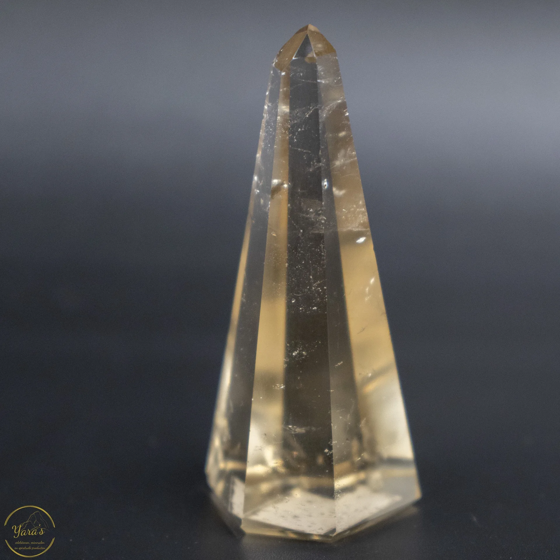 Citrien punt 30 gram - Afbeelding 3