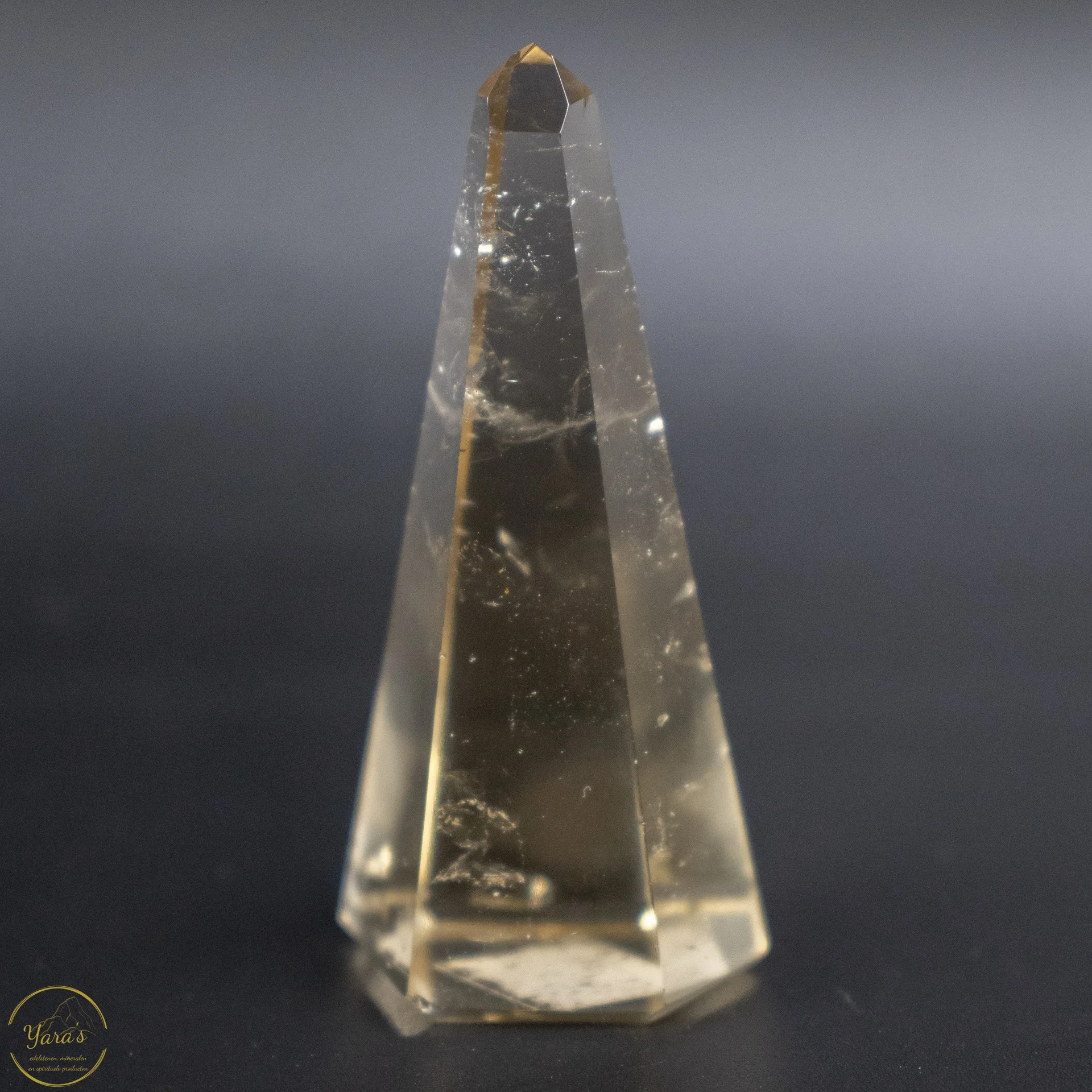 Citrien punt 30 gram - Afbeelding 2