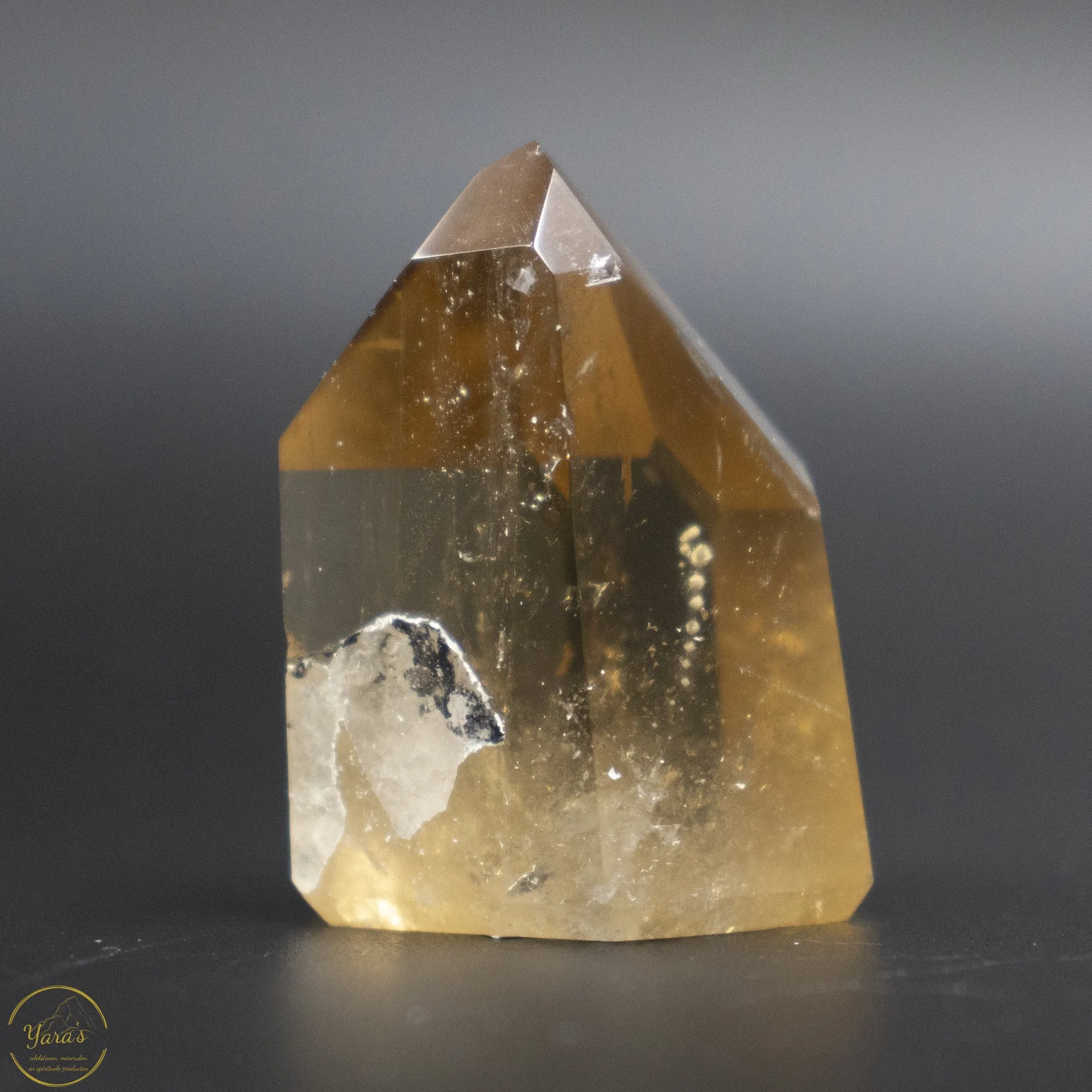 Citrien punt 22 gram - Image 4