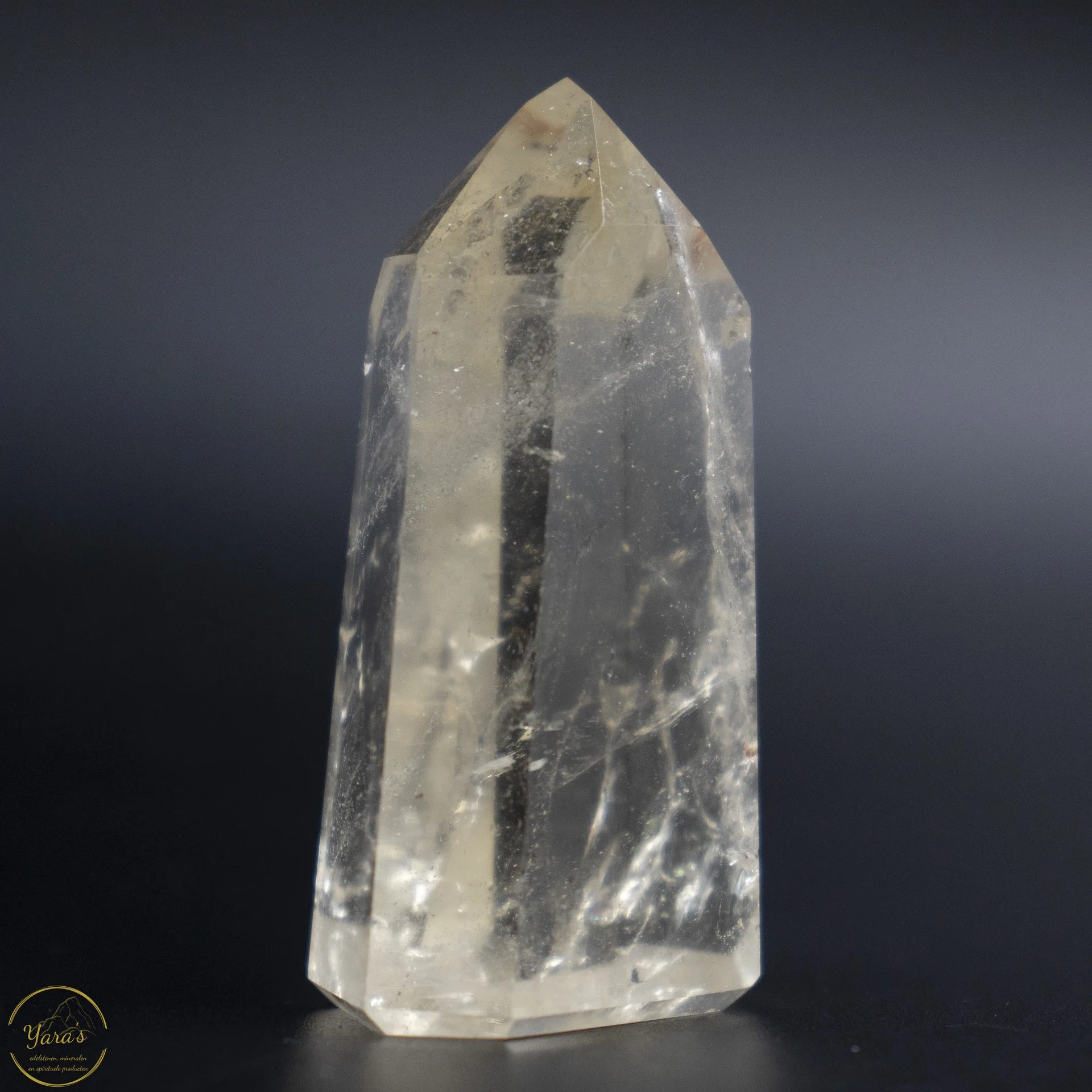 Citrien punt 30 gram - Afbeelding 3