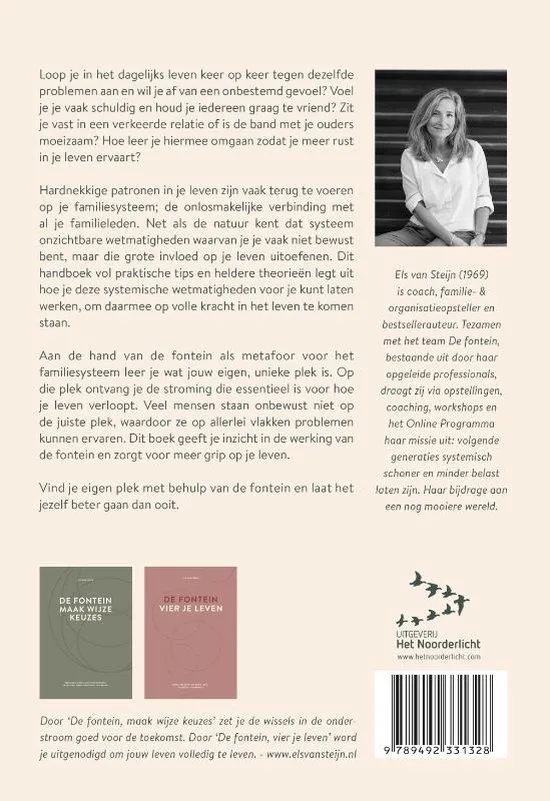 De Fontein - Els van Steijn - Afbeelding 2