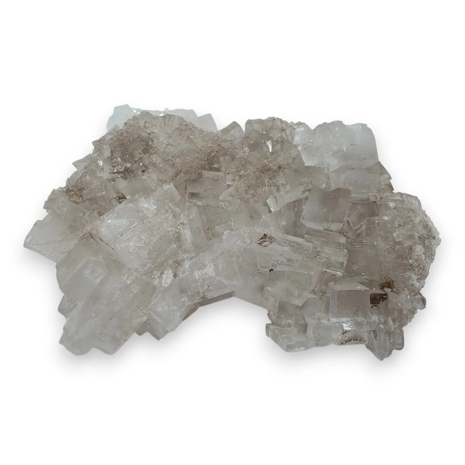 Heldere Haliet uit Marokko - 1.67kg - Afbeelding 2