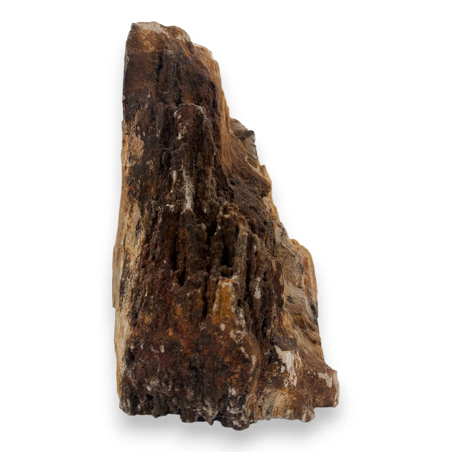 Versteend druzy hout uit Indonesië - 14.82kg - Image 2
