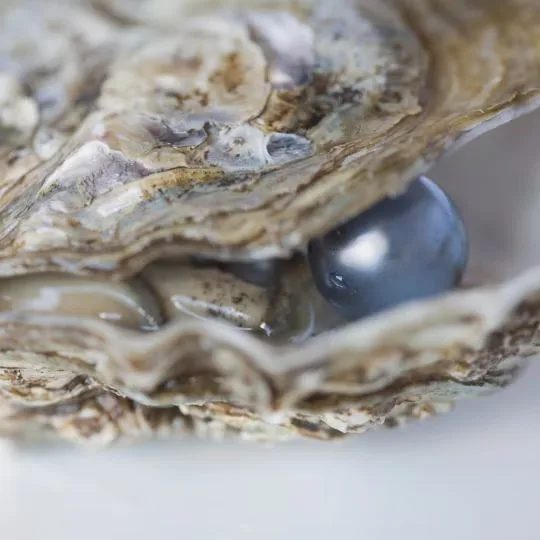 Freshwater Pearl
